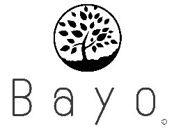 Afbeelding › Detective Bayo