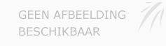 Afbeelding › VDB Investigations west vlaanderen